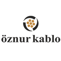 Öznur